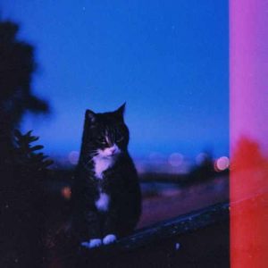 دانلود آهنگ کاپوچینو اساسینو